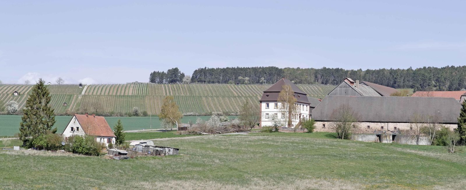 Die Weinberge über dem Schafhof — hier liegt die Lage First