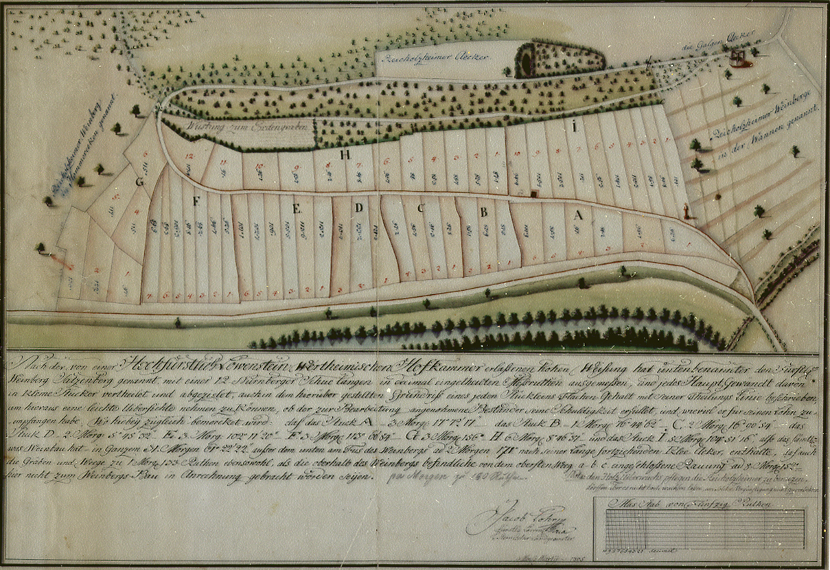 Vermessungskarte des Weinbergs Satzenberg von Jakob Lohr